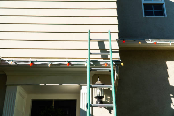 Best Stucco Siding  in Elgin, IL