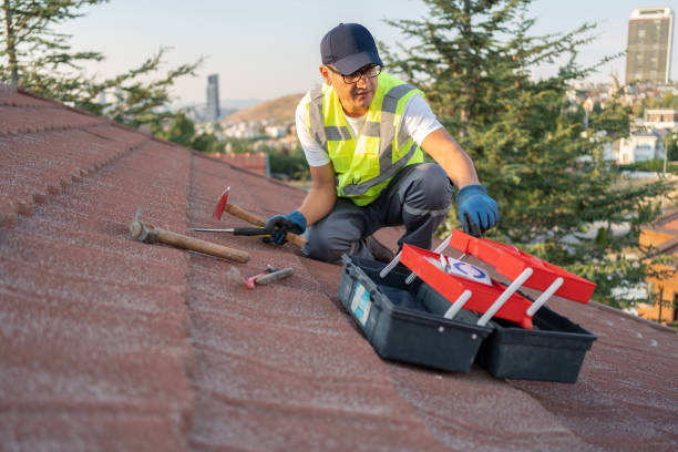 Best Fiber Cement Siding Installation  in Elgin, IL